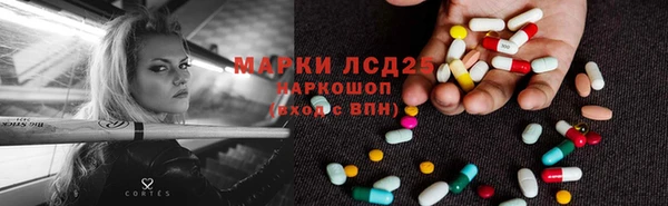 метадон Богданович