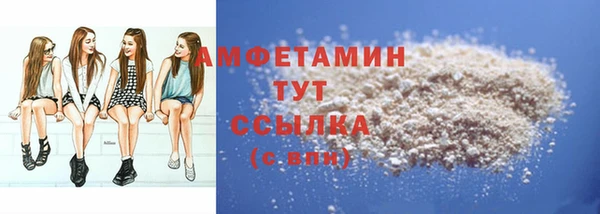 метадон Богданович