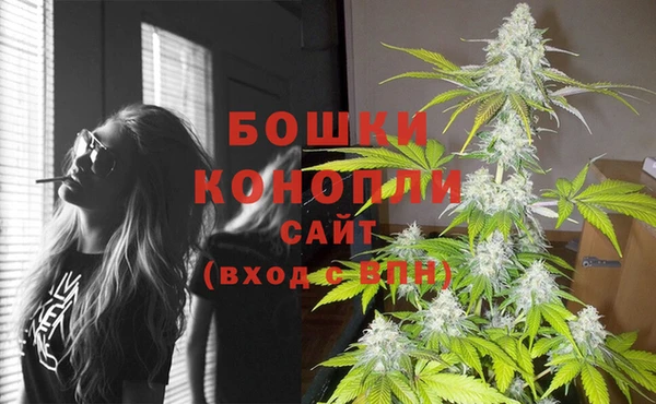 метадон Богданович