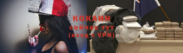метадон Богданович