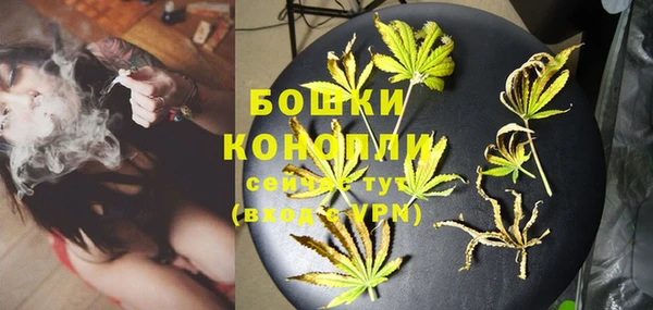 метадон Богданович