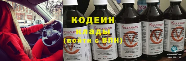 метадон Богданович