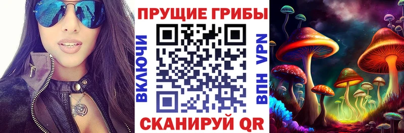 МЕГА онион  Дальнегорск  нарко площадка формула  Галлюциногенные грибы Psilocybe 